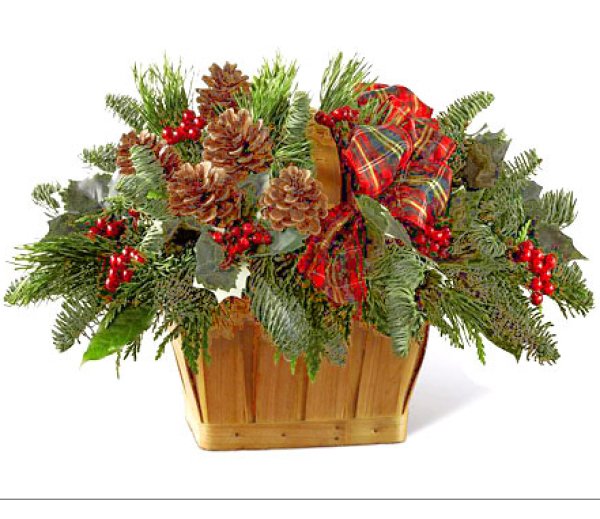 画像1: 【※12月限定】コージークリスマスバスケット (1)