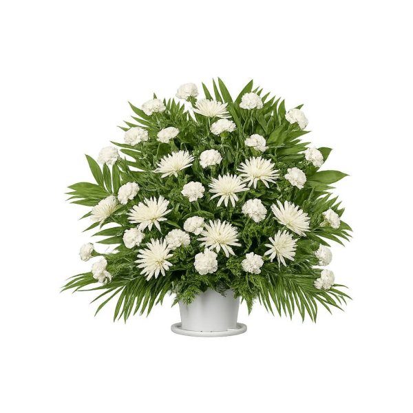 画像1: ディヴァインバスケット (1)