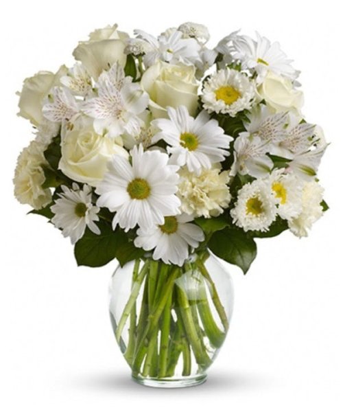 画像1: カナダ ギフト｜ピュアレストインテンション(花器付き) (1)