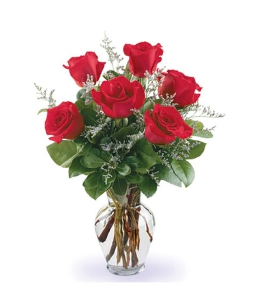 画像1: カナダ ギフト｜レッドローズ 6本(花器付き) (1)