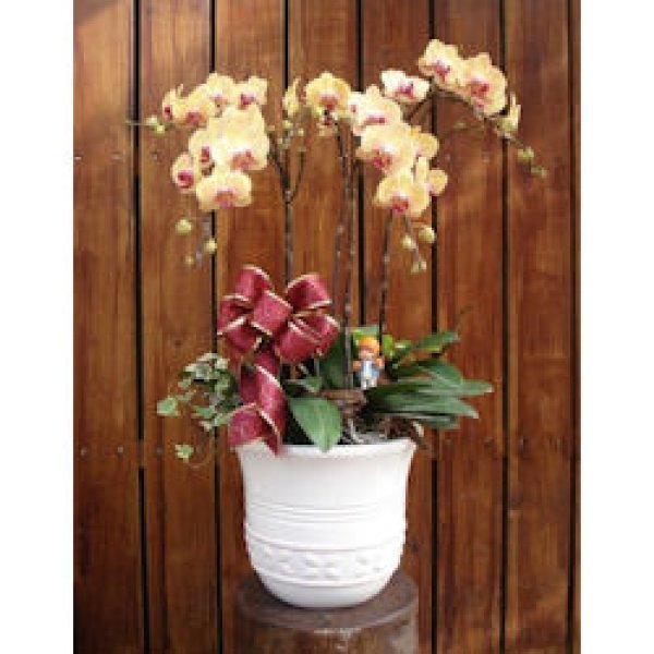 中国 プレゼントを送る 海外配送 花ギフト