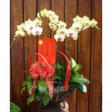 シンガポール ギフトを送る 花の海外ギフトなら花屋ラスティンググリーン 海外配送